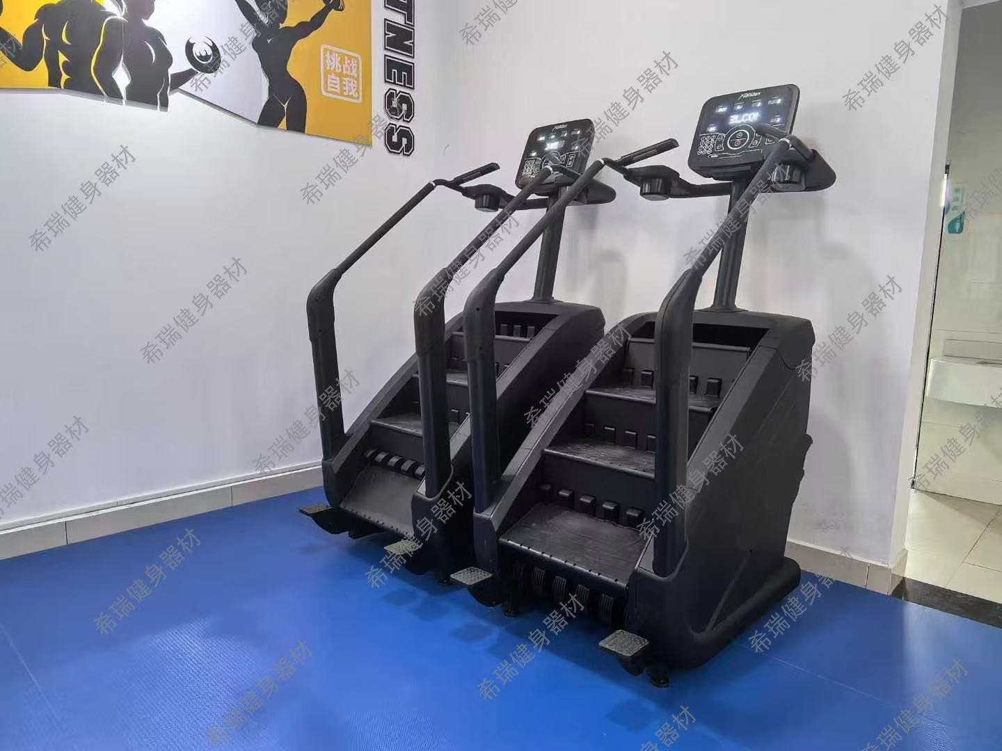 Mesin Olahraga Kardio Komersia - Home Gym Used ulasan dan harga