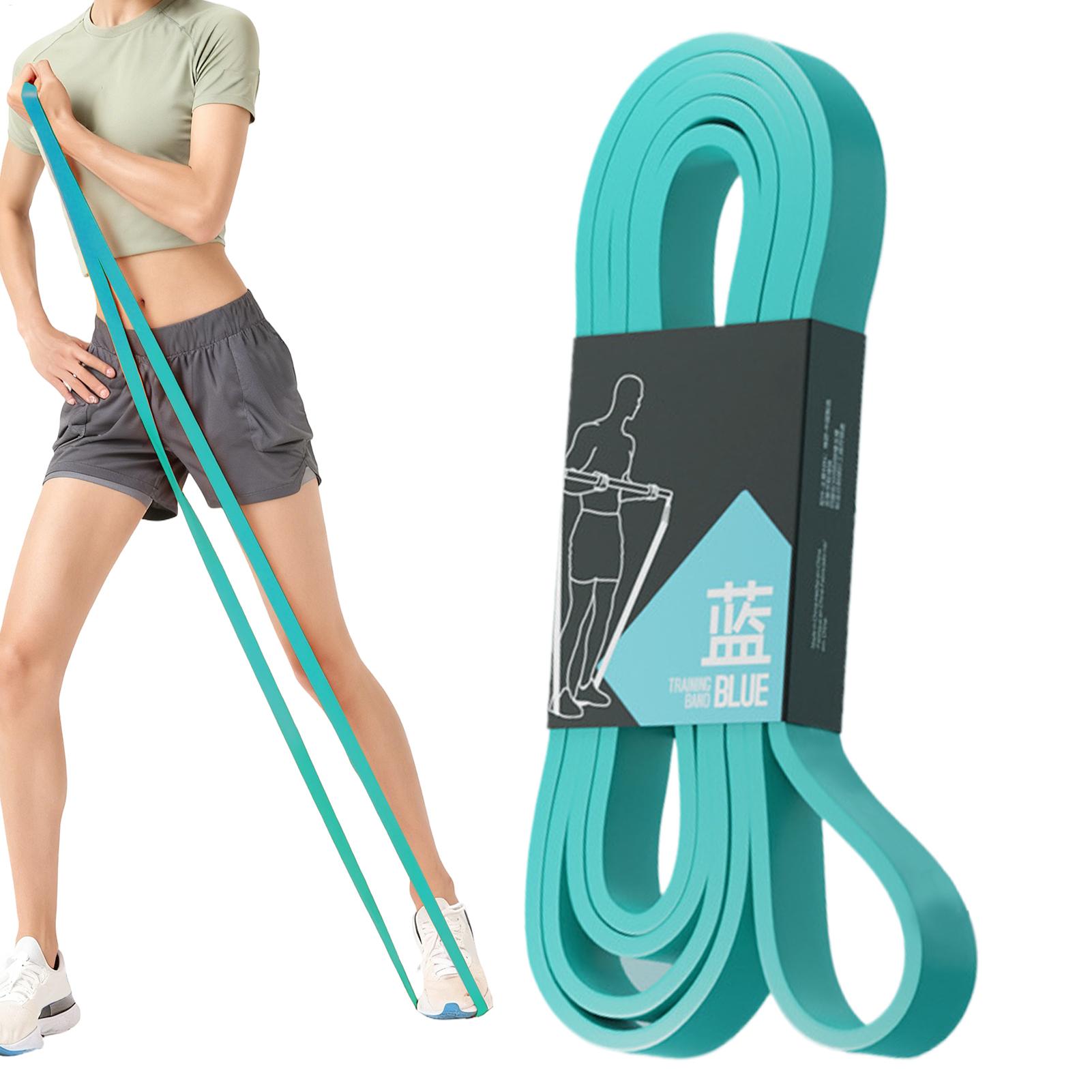Pita Resistensi Latihan Elasti - Home Gym Leg Press ulasan dan harga